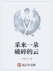 采来一朵破碎的云什么意思