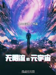 无限流的元宇宙笔趣