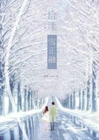 新婚燕尔恰逢雪