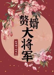 赘婿将军是谁演的