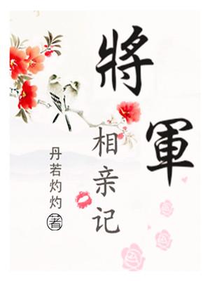 将军公主相亲