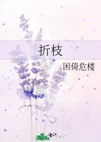 莫待无花空折枝是什么生肖