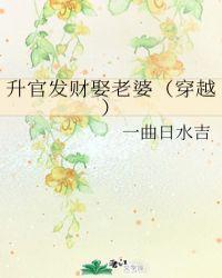 升官发财娶老婆(穿越) by一曲日水吉