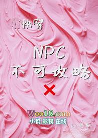 npc无法