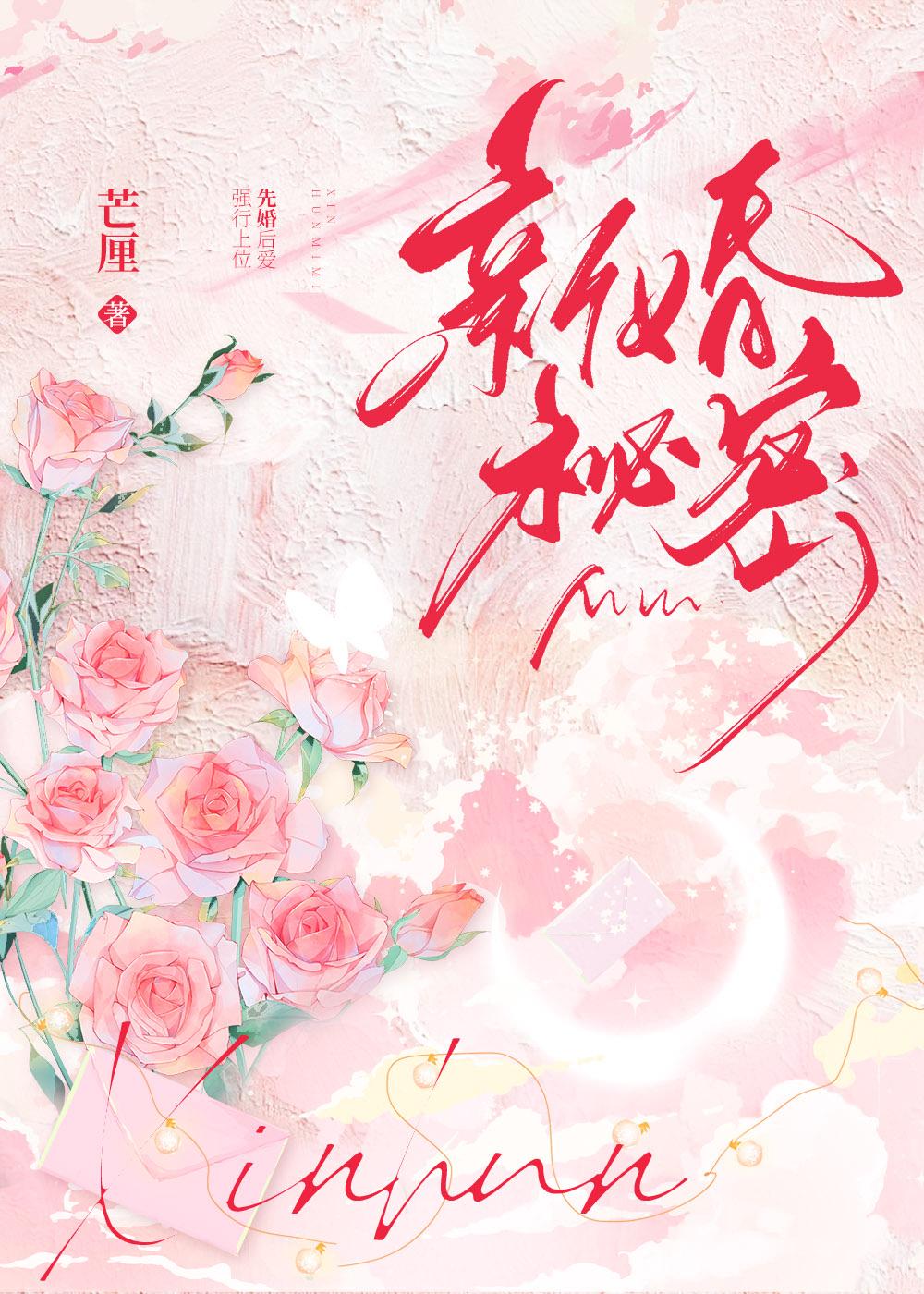 新婚秘密秦雅许康