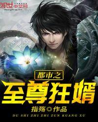 都市致尊狂婿