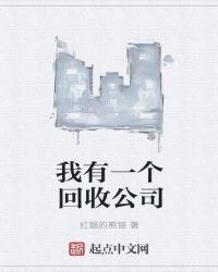 做回收公司可以吗