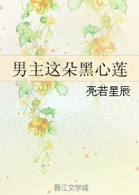 男主这朵黑心莲晋江文学