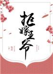 拒嫁天王老公全文免费阅读