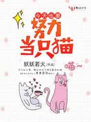 今天也要努力当只猫未删减版