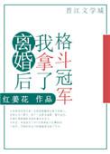 离婚后我拿了格斗冠军.txt