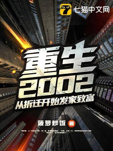 重生2002年的