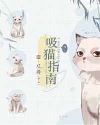 研磨猫猫吸猫指南