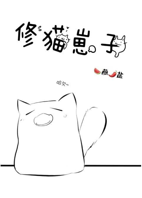 猫崽子怎么养