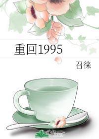 1995重回九零