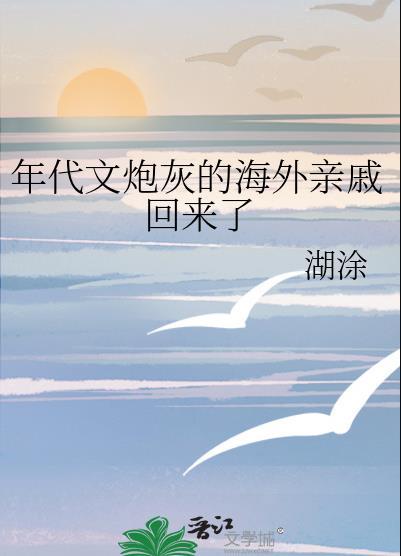 年代文炮灰的海外亲戚回来了 格格党