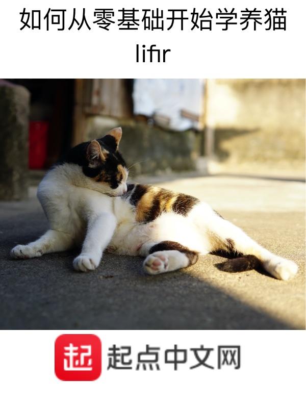 养猫咪教程