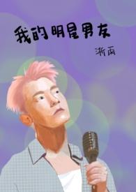 我的明星男友安装